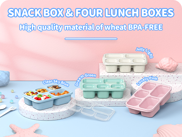 bento box