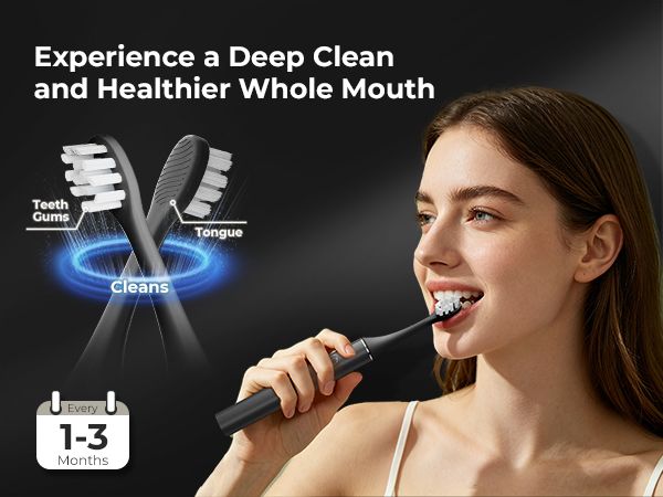 replacement toothbrush heads