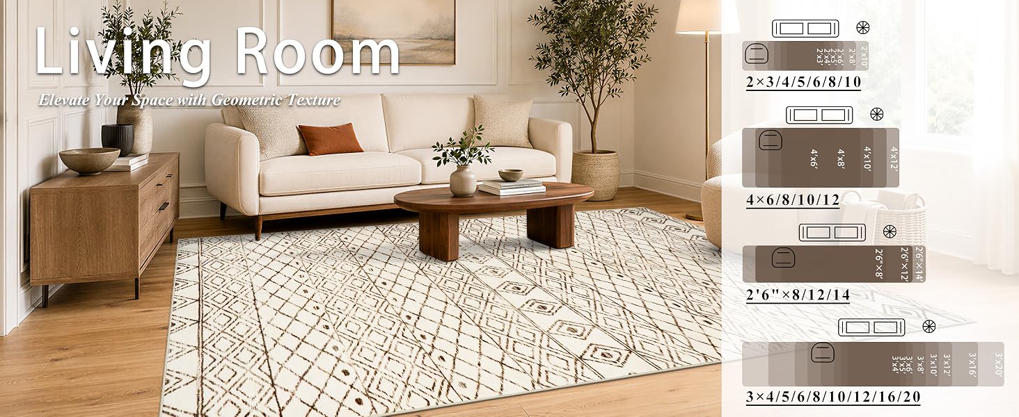 Living Room Rug