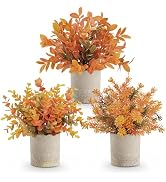 Der Rose 3 Pack Fake Plants Warm Orange Faux Plants for Fall Table Decor | Orange maple-toned euc...