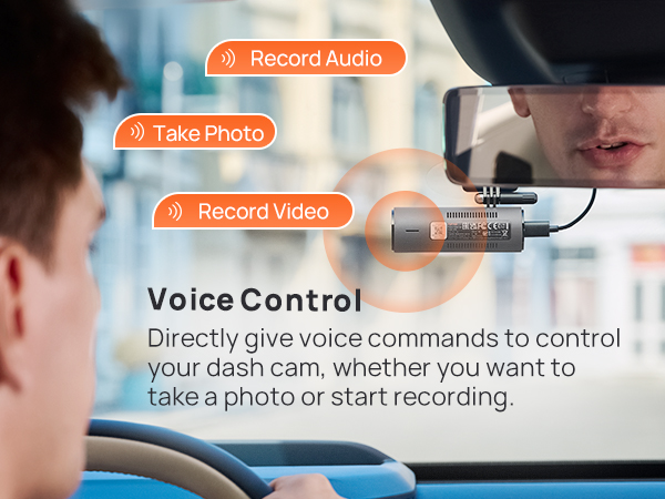 Voice Control
