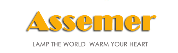 Assemer floor lamp