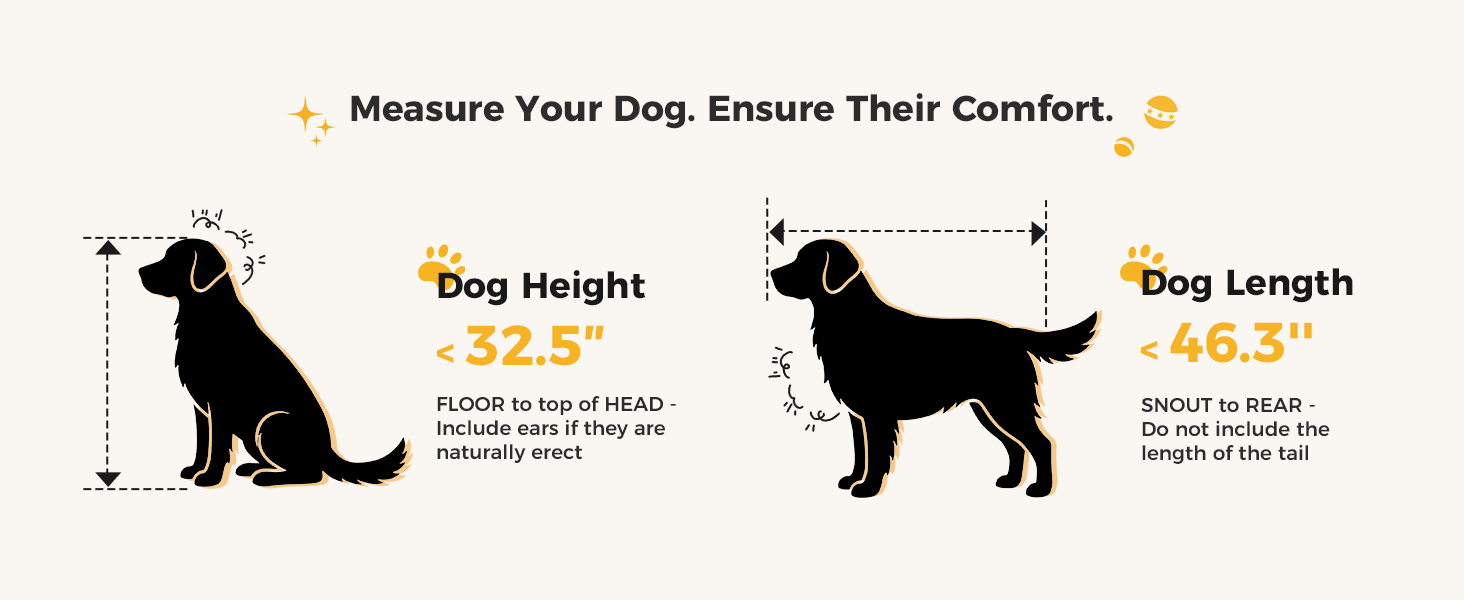 how to measure dog