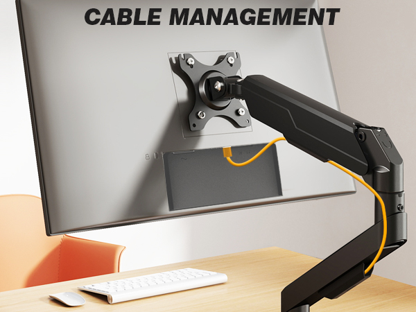 monitor arms