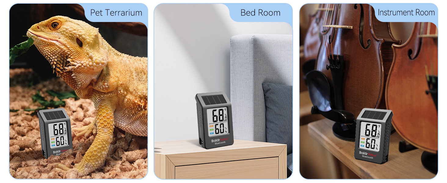 Room Thermometer