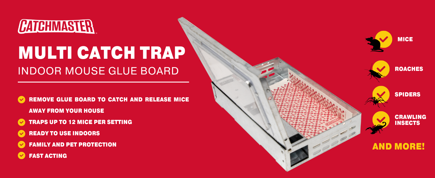 multi catch container glue rat and mouse trap