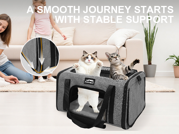 cat carrier grey