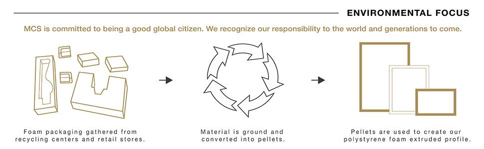 Environmental Focus