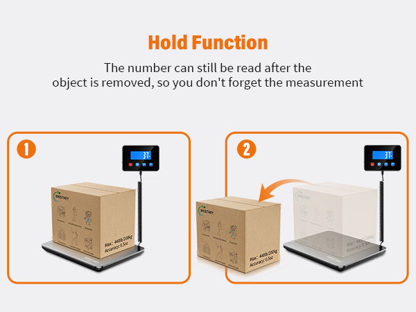 Hold Function