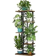 LINZINAR Plant Stand 5 Tier 6 Plant Multiple Flower Rack Holder Shelves Rack Storage Organizer Di...