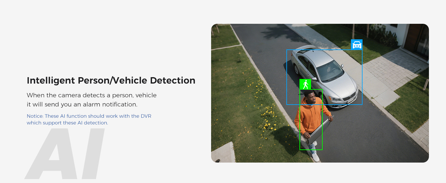 AI Person/Vehicle Detection