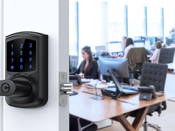 Touchscreen Keypad Door Lock with Handle