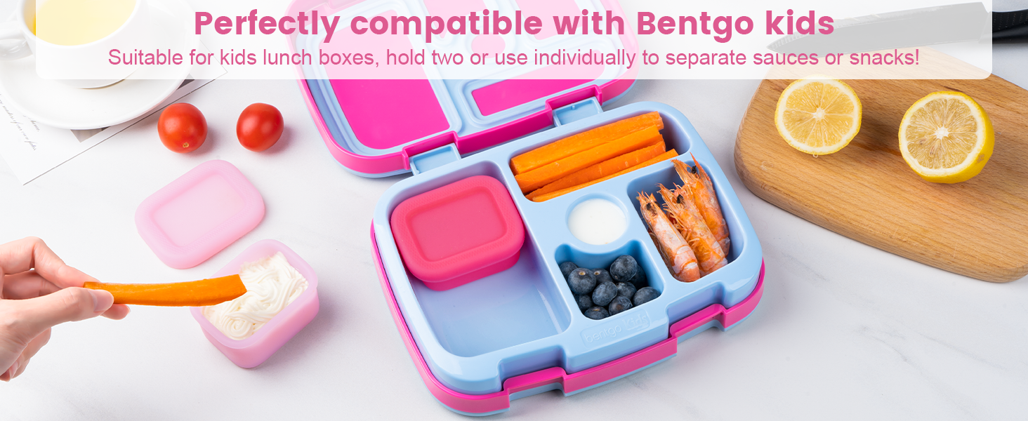 condiment containers with lids