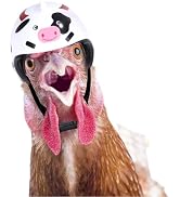 White Creative Chicken Helmet Elegant Hens Hats, Adjustable Elastic Strap,Funny Pet Lace Hat Acce...