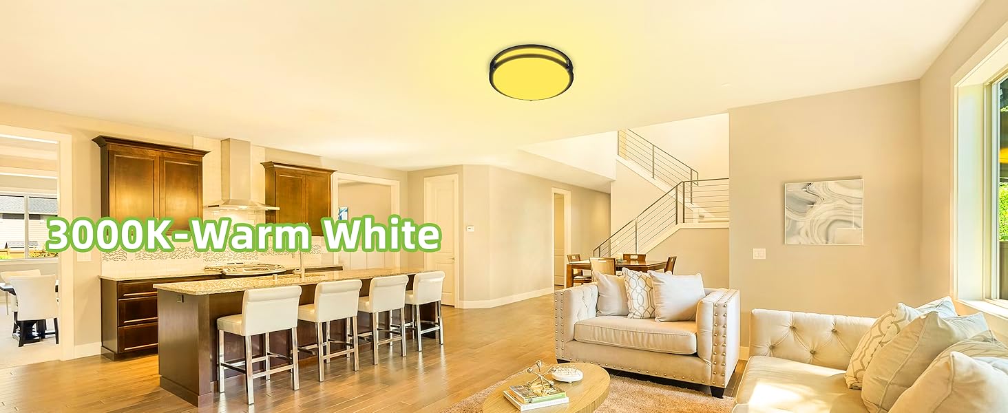 Flush Mount LED Ceiling Light Fixture