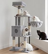 https://m.media-amazon.com/images/S/aplus-media-library-service-media/174ef34e-a016-4438-88be-36e7f3fd84e4.__CR77,0,1227,1380_PT0_SX200_V1___.jpg
