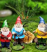 Miniature Garden Gnome