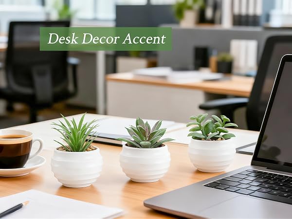 Succulents Plants Artificial in Pots