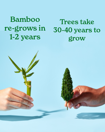 Bamboo is Better