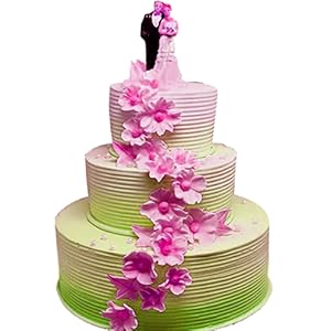 cake scraper