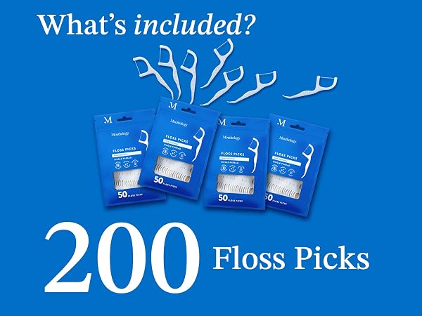 floss picks, dental floss picks reusable floss pick, tooth flossers, floss sticks, floss, picks