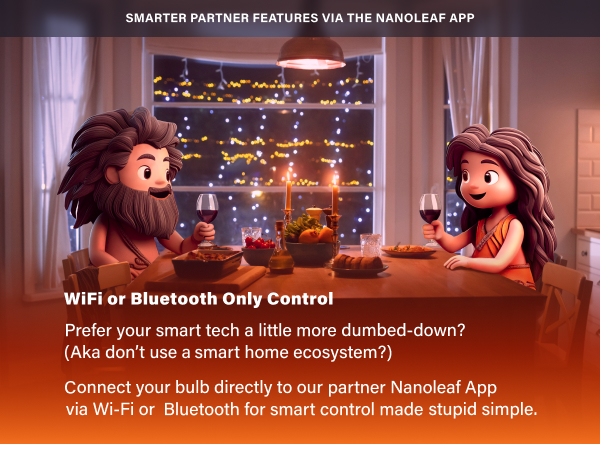 WiFi or Bluetooth Only Control