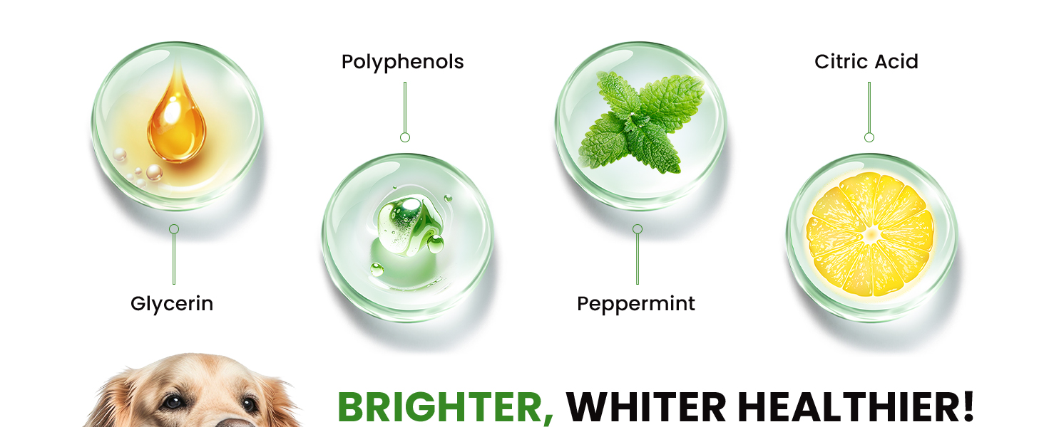 oxyfresh water additive for dogs