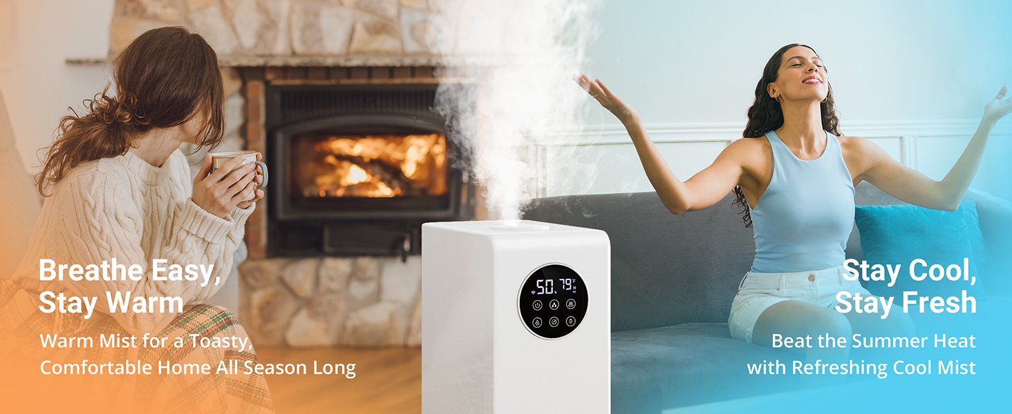 warm and cool mist humidifier