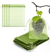 50 PCS 8X12 inches Fruit Protection Bags,Fruit Bags for Fruit Trees,Fruit Bags Protection,Green N...