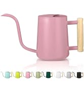 35oz Small Watering Can for Indoor Plants - Stainless Steel Metal Modern Decorative Watering Pot ...