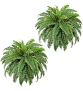 Lifewit Artificial Boston Fern Bush with 55 Fern Fronds, Faux Fern Plants, Realistic Artificial F...