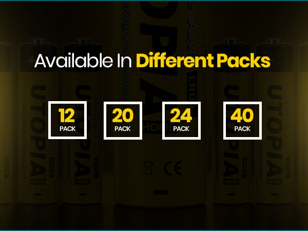 AA Batteries