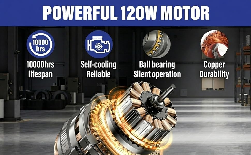 Powerful Motor, Copper Durability, Ball Bearing, Long lifespan, 3 Speeds