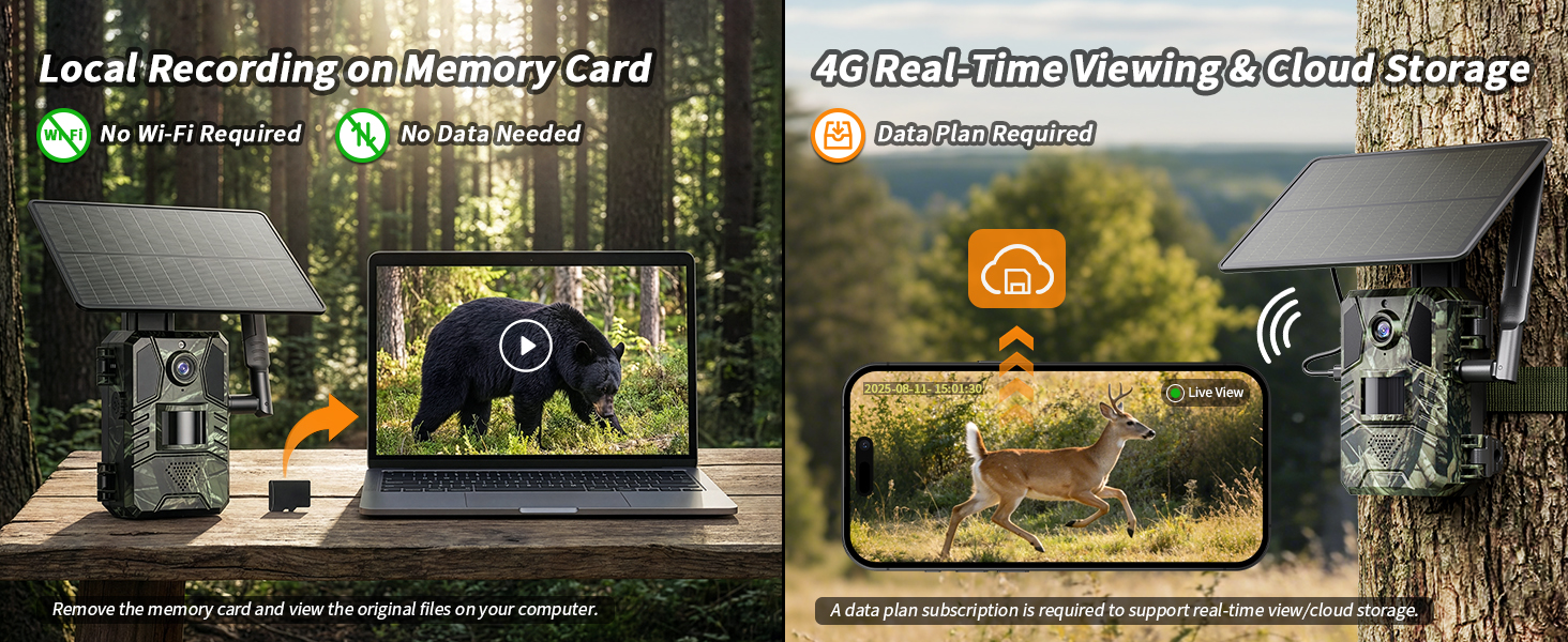 trail camera