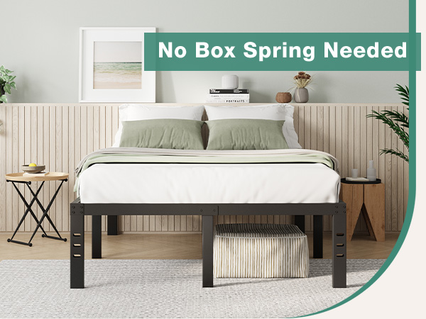 No Box Spring Needed