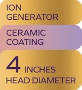 ion generator