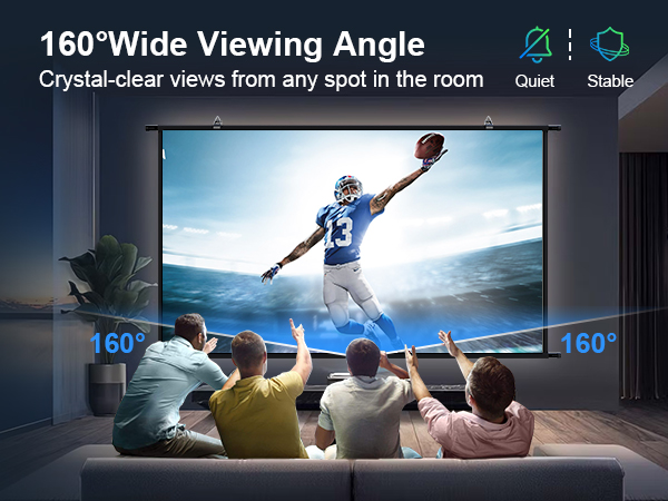 outdoor projector screen