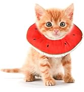 Kitten Cones After Surgery 0-6 Months, Donut Extra Small Kitten Cone Collar Soft to Stop Licking ...