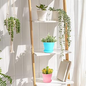 flower pots