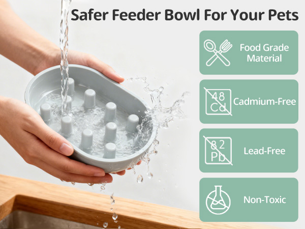 Microchip Pet Feeder Slow Bowl and Mat Set