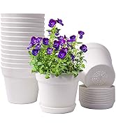 HOMENOTE Pots for Plants, 15 Pack 6 inch Plastic Planters with Multiple Drainage Holes and Trays ...