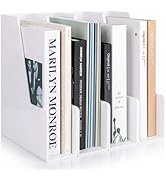 LALOBLUE White Vertical File Organizer, 4 Section Magazine Holder for Desk, Desktop File Folder R...