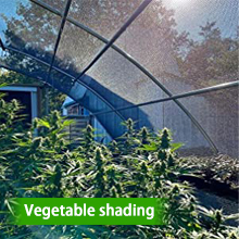 ?40% shading rate