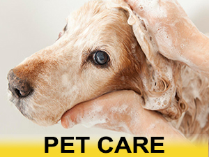for pet care