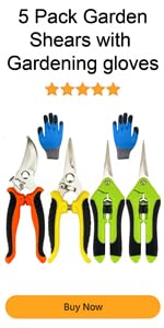 https://m.media-amazon.com/images/S/aplus-media-library-service-media/dacd9482-9763-4831-a21a-72ebe45bd2a4.__AC_SR150,300___.jpg