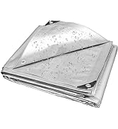 Windscreen4less 20' x 30' Heavy Duty 10 Mil Waterproof Silver Poly Tarp