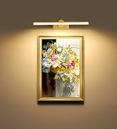 rechargeable picture lights