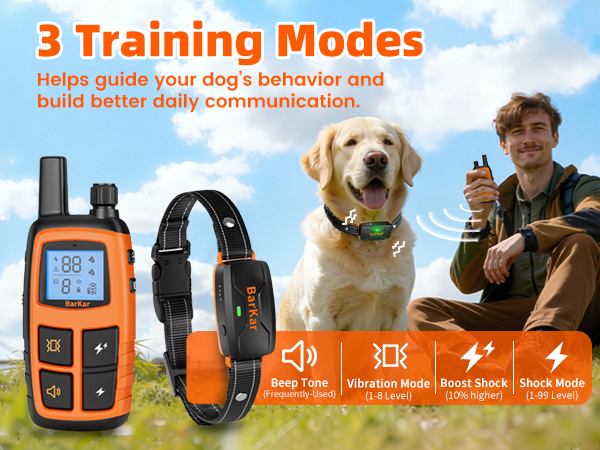 Dog Shock Collar