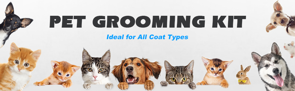 dog products