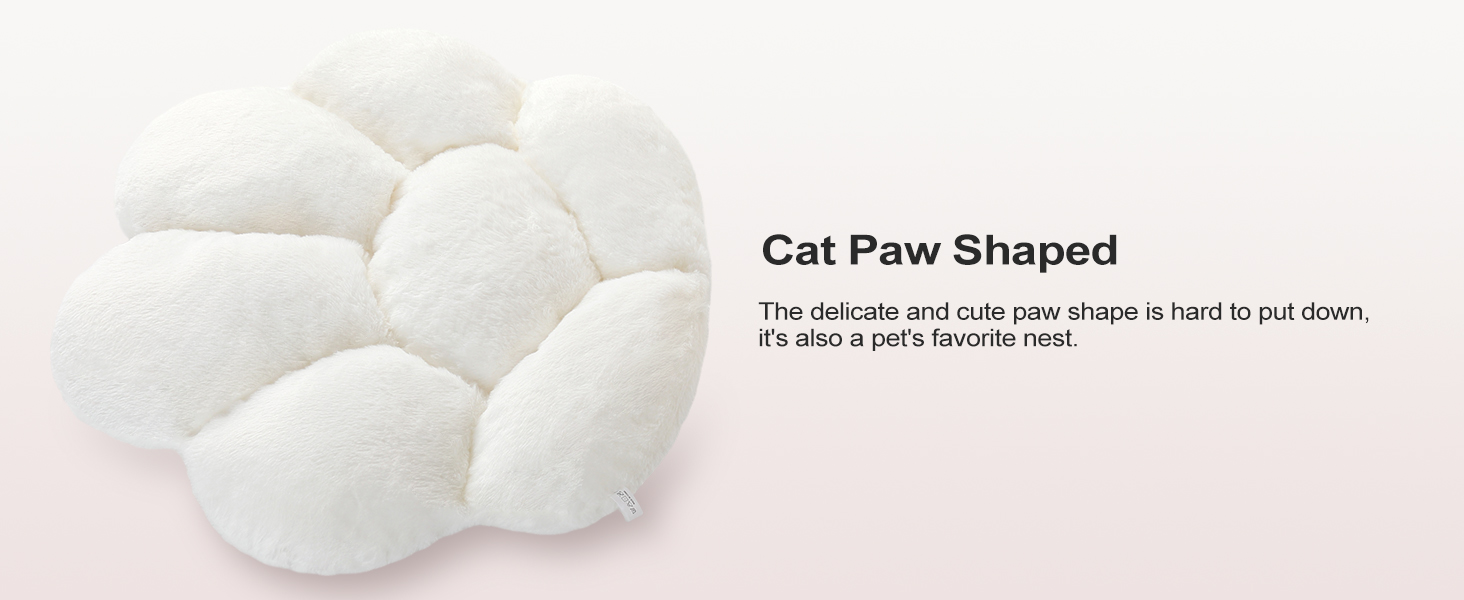 cat paw cushion